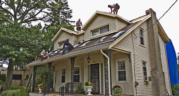 Best Shingle Roofing Installation  in Three Points, AZ